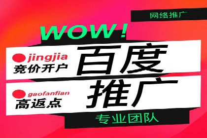 行业领先的SEM优化案例：提升品牌曝光率